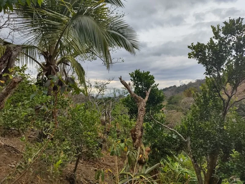 Land For Sale in Atenas, photo 15