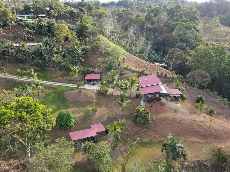 3 Bed Single Family Homes For Sale in Perez Zeledon, photo 2