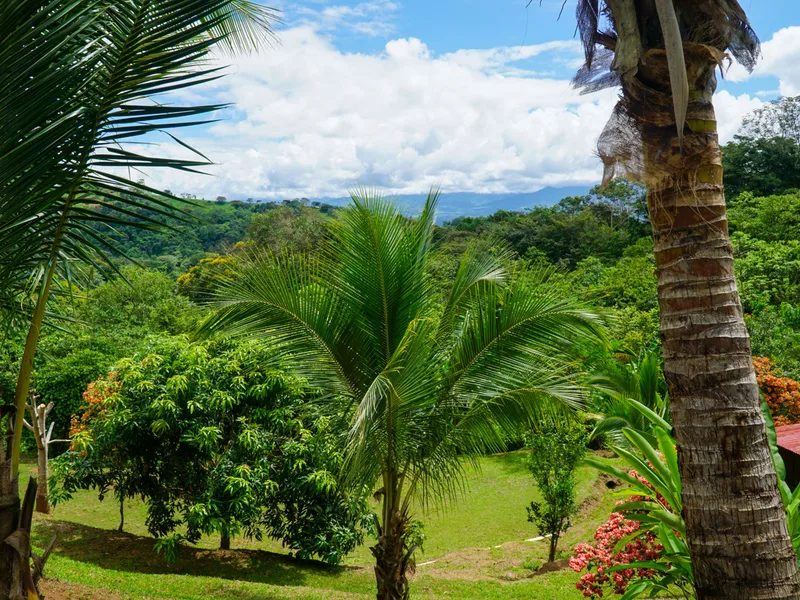 3 Bed Single Family Homes For Sale in Perez Zeledon, photo 4