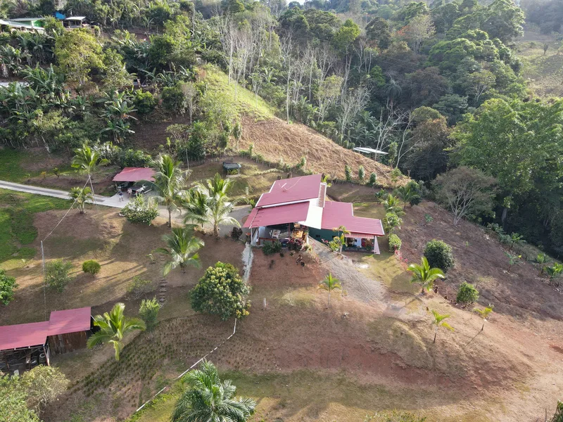 3 Bed Single Family Homes For Sale in Perez Zeledon, photo 5