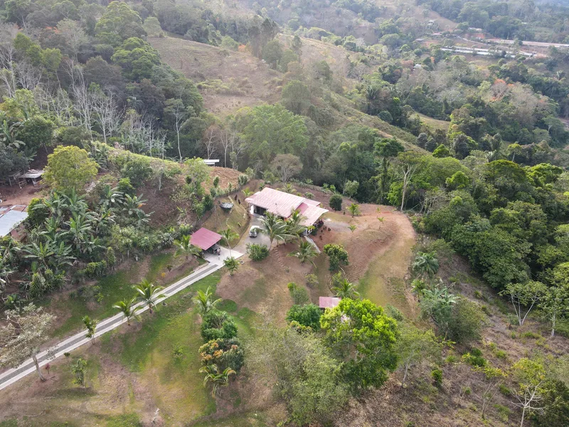 3 Bed Single Family Homes For Sale in Perez Zeledon, photo 6