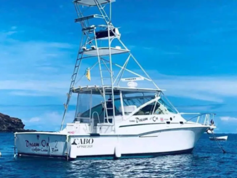 Commercial For Sale in Playas Del Coco, photo 3