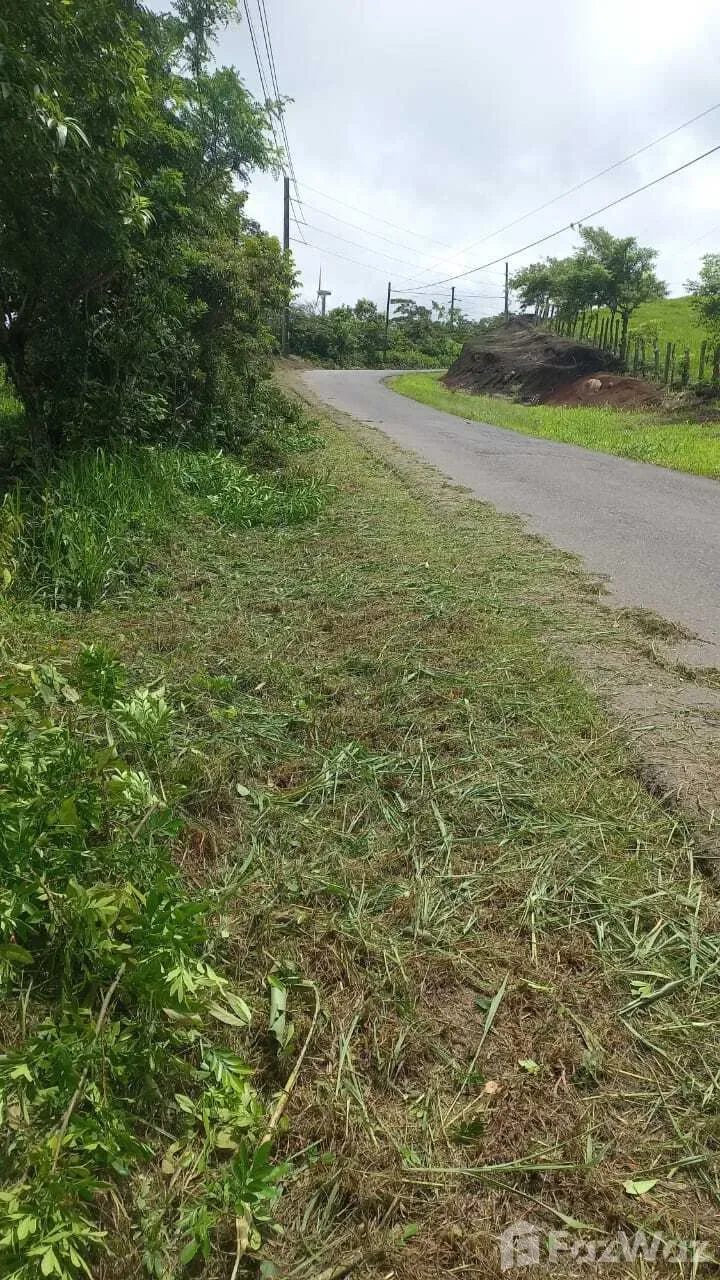 Land for Sale in Tilaran, Guanacaste for $153,000, photo 2