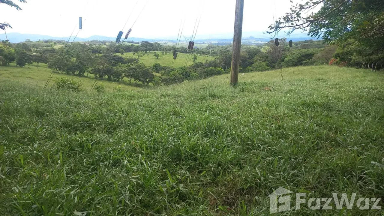 Land for Sale in Tilaran, Guanacaste for $153,000, photo 4