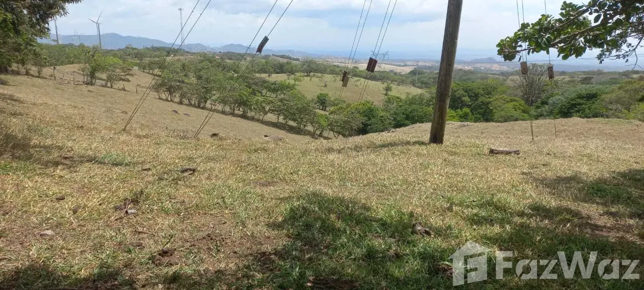 Land for Sale in Tilaran, Guanacaste for $153,000, photo 5