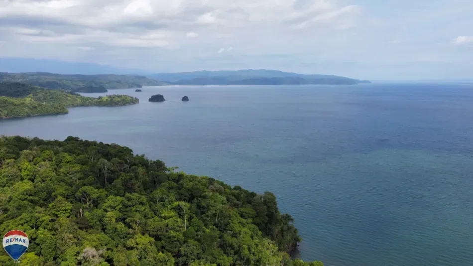 Salamoly Lodge Golfo Dulce – 28 Hectares with Beachfront and Homes - REMAX Jungle Properties | Pavones Golfito Real Estate, photo 13