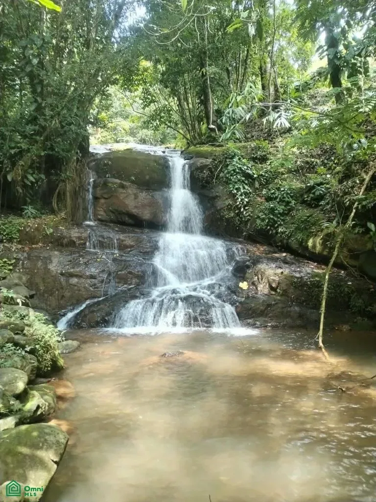 Matapalo,, Puntarenas