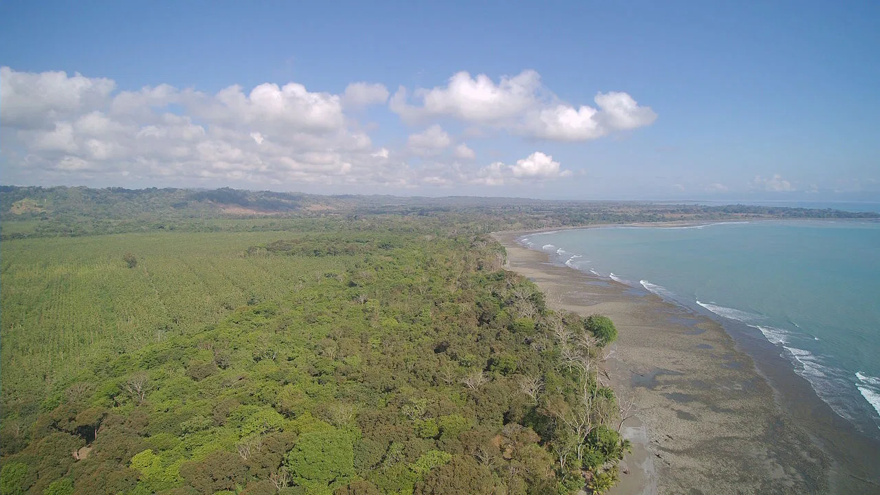4 Bedroom Estate with Stunning Views, Playa Sombrero, photo 3