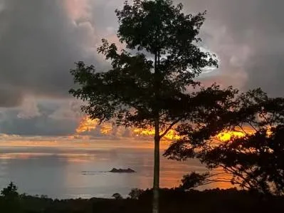 PROPERTY WITH 3  VILLAS IN PERLA THE BALLENA – 1.71 ACRES, photo 29