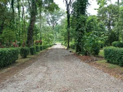 Lotes residenciales exclusivos, titulados, cerca del Parque Nacional de Cahuita, photo 2