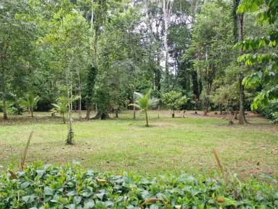 Lotes residenciales exclusivos, titulados, cerca del Parque Nacional de Cahuita, photo 3