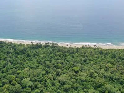 Lotes residenciales exclusivos, titulados, cerca del Parque Nacional de Cahuita, photo 4