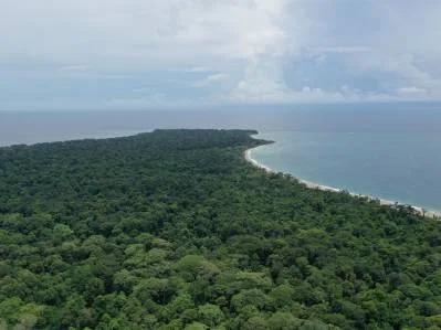 Lotes residenciales exclusivos, titulados, cerca del Parque Nacional de Cahuita, photo 5