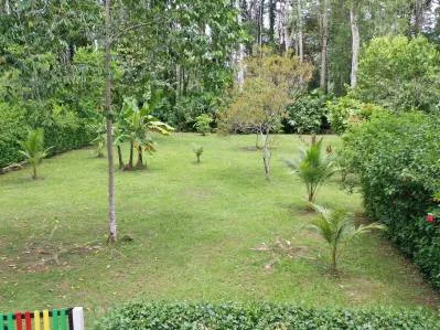 Lotes residenciales exclusivos, titulados, cerca del Parque Nacional de Cahuita, photo 6