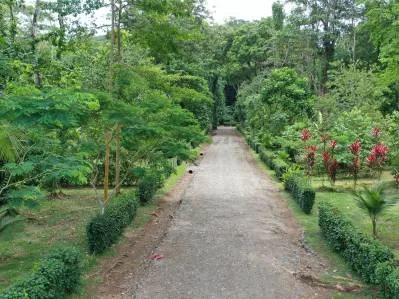 Lotes residenciales exclusivos, titulados, cerca del Parque Nacional de Cahuita, photo 7
