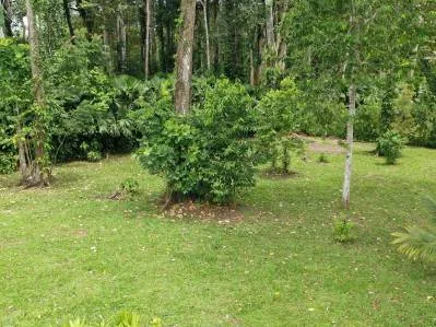 Lotes residenciales exclusivos, titulados, cerca del Parque Nacional de Cahuita, photo 8