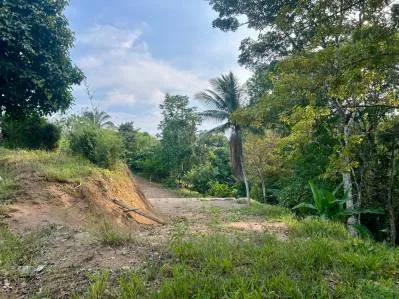 PRE-CONSTRUCTION PROJECT CREEK HOUSE AT PLAYA HERMOSA, 3 BED, 3.5 BATH, photo 9