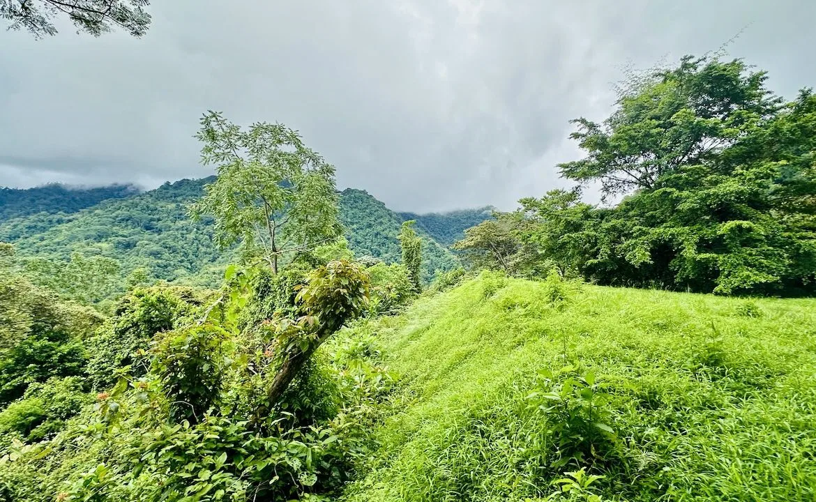 PRIVATE OCEAN & MOUNTAIN VIEW LOT IN GATED COMMUNITY – 4.16 ACRES, photo 12