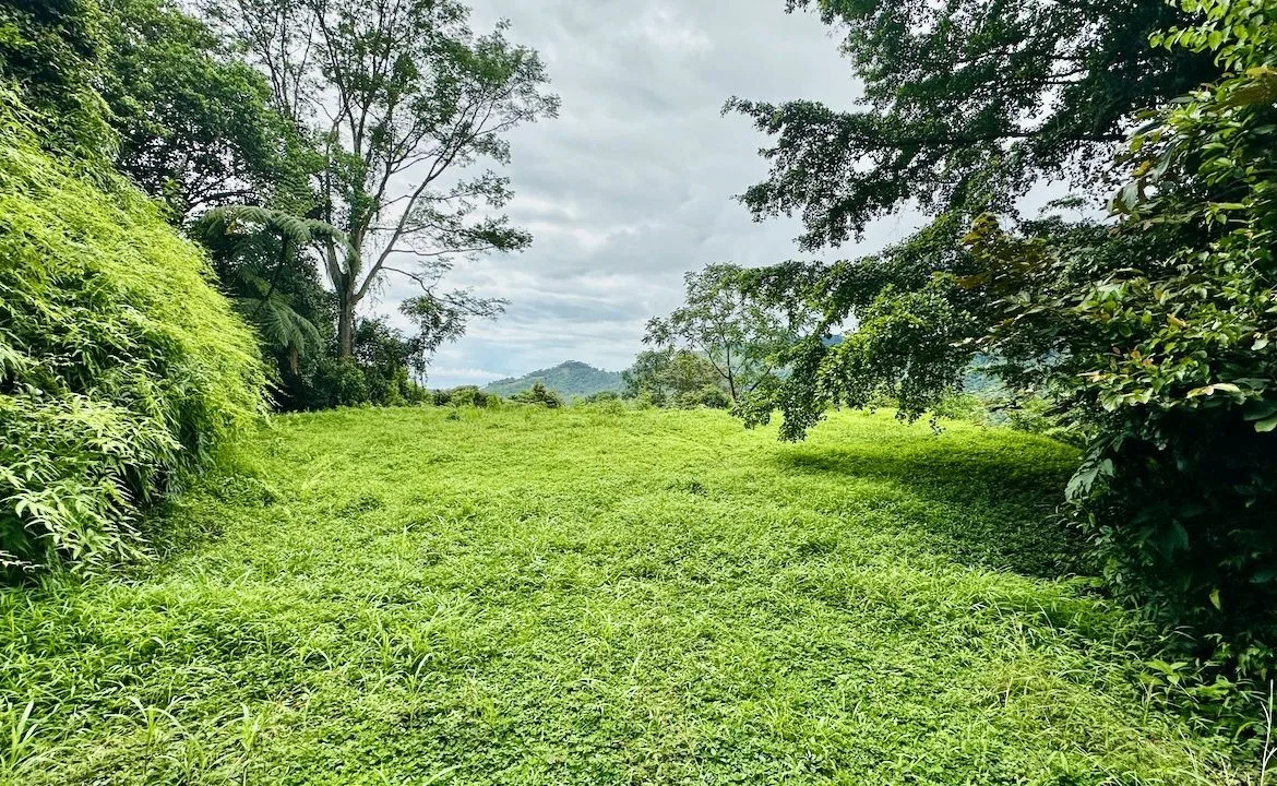 PRIVATE OCEAN & MOUNTAIN VIEW LOT IN GATED COMMUNITY – 4.16 ACRES, photo 16