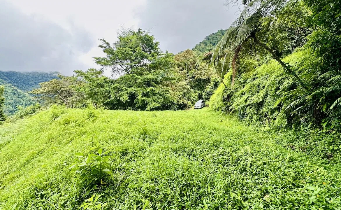 PRIVATE OCEAN & MOUNTAIN VIEW LOT IN GATED COMMUNITY – 4.16 ACRES, photo 18