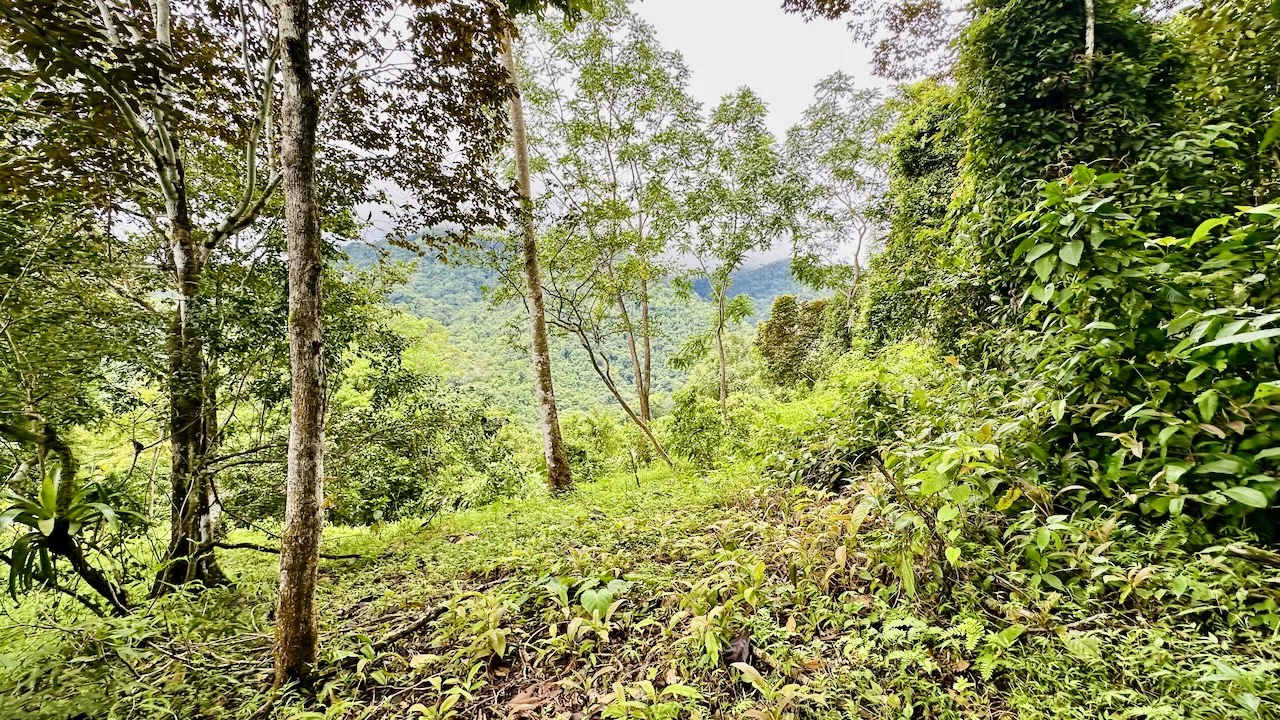 PRIVATE OCEAN & MOUNTAIN VIEW LOT IN GATED COMMUNITY – 4.16 ACRES, photo 19