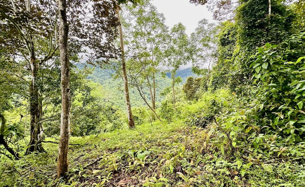 PRIVATE OCEAN & MOUNTAIN VIEW LOT IN GATED COMMUNITY – 4.16 ACRES, photo 20