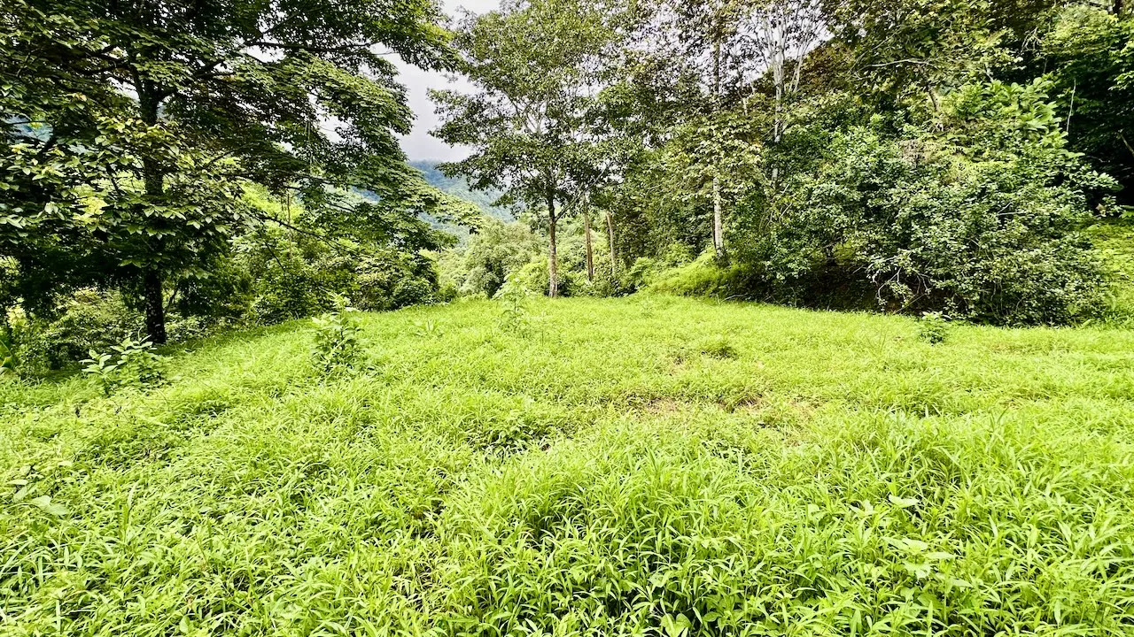 PRIVATE OCEAN & MOUNTAIN VIEW LOT IN GATED COMMUNITY – 4.16 ACRES, photo 21