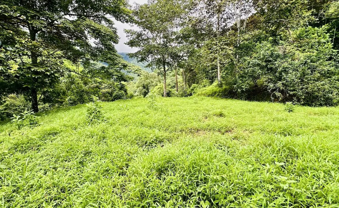 PRIVATE OCEAN & MOUNTAIN VIEW LOT IN GATED COMMUNITY – 4.16 ACRES, photo 22