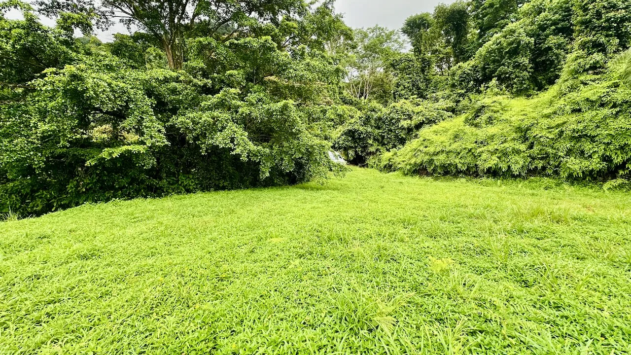 PRIVATE OCEAN & MOUNTAIN VIEW LOT IN GATED COMMUNITY – 4.16 ACRES, photo 23