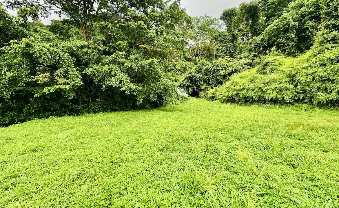 PRIVATE OCEAN & MOUNTAIN VIEW LOT IN GATED COMMUNITY – 4.16 ACRES, photo 24