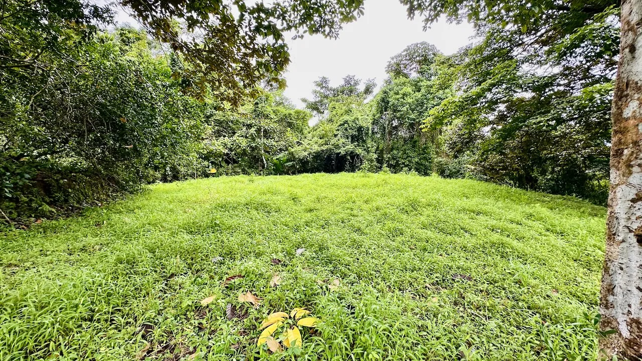 PRIVATE OCEAN & MOUNTAIN VIEW LOT IN GATED COMMUNITY – 4.16 ACRES, photo 5