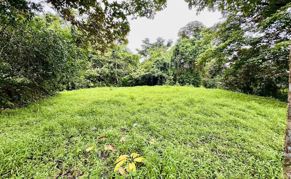 PRIVATE OCEAN & MOUNTAIN VIEW LOT IN GATED COMMUNITY – 4.16 ACRES, photo 6