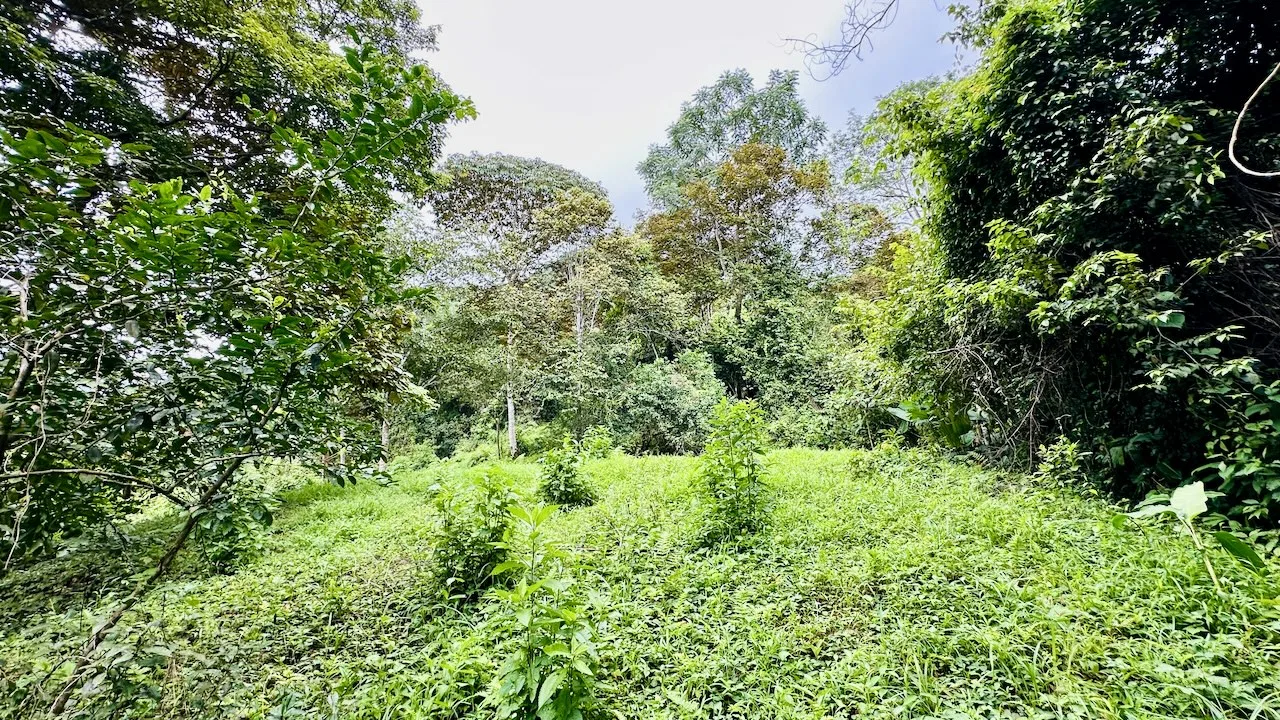 PRIVATE OCEAN & MOUNTAIN VIEW LOT IN GATED COMMUNITY – 4.16 ACRES, photo 7
