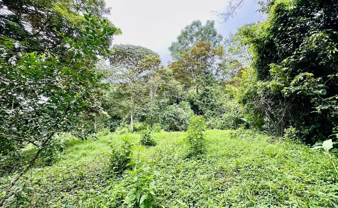 PRIVATE OCEAN & MOUNTAIN VIEW LOT IN GATED COMMUNITY – 4.16 ACRES, photo 8