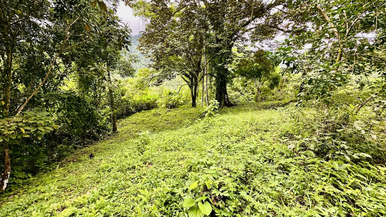 PRIVATE OCEAN & MOUNTAIN VIEW LOT IN GATED COMMUNITY – 4.16 ACRES, photo 9
