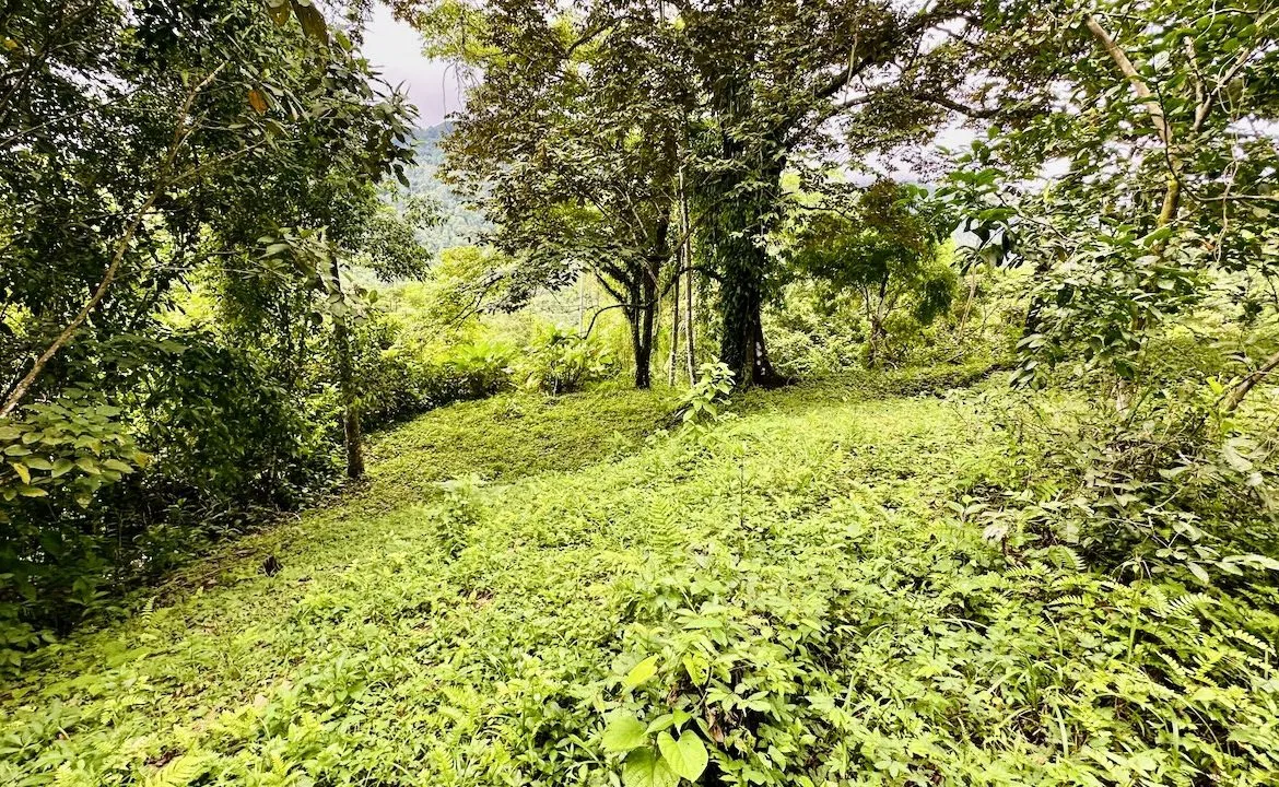PRIVATE OCEAN & MOUNTAIN VIEW LOT IN GATED COMMUNITY – 4.16 ACRES, photo 10