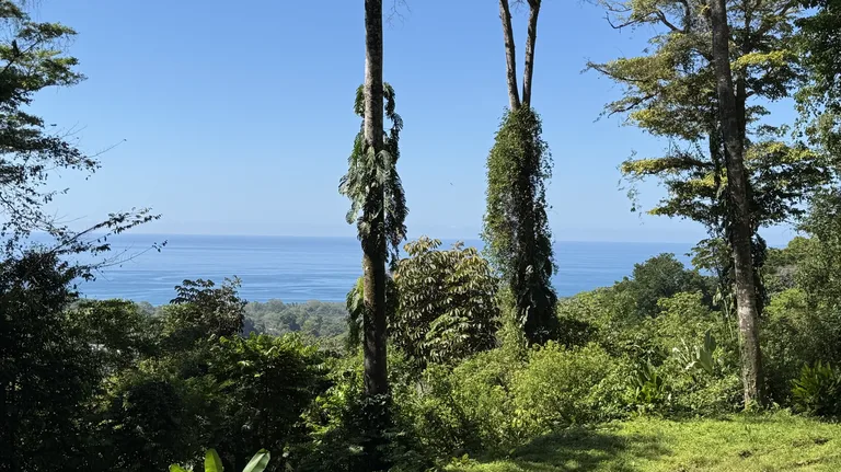 Two Ocean View Lots in Uvita – Easy Access and Large Building Sites, photo 11