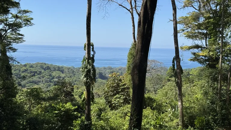 Two Ocean View Lots in Uvita – Easy Access and Large Building Sites, photo 12
