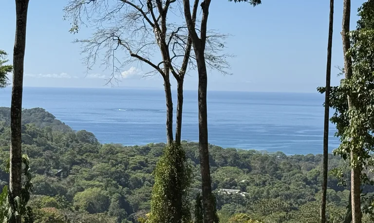 Two Ocean View Lots in Uvita – Easy Access and Large Building Sites, photo 3