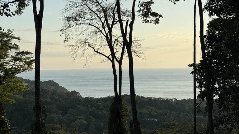 Two Ocean View Lots in Uvita – Easy Access and Large Building Sites, photo 5
