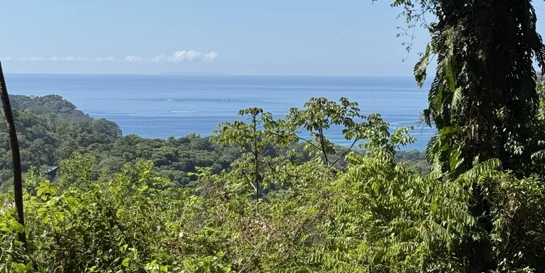 Two Ocean View Lots in Uvita – Easy Access and Large Building Sites, photo 6