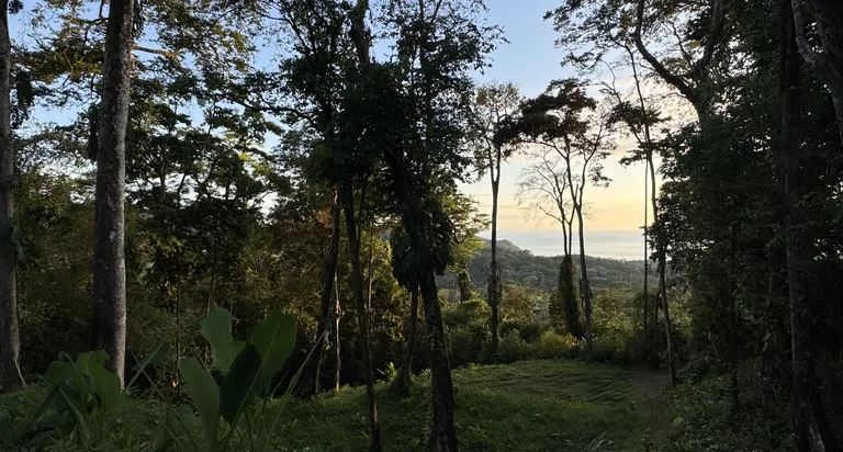 Two Ocean View Lots in Uvita – Easy Access and Large Building Sites, photo 7