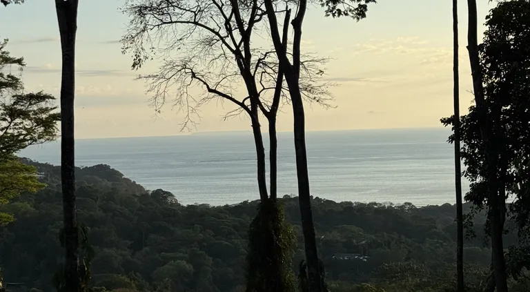 Two Ocean View Lots in Uvita – Easy Access and Large Building Sites, photo 8