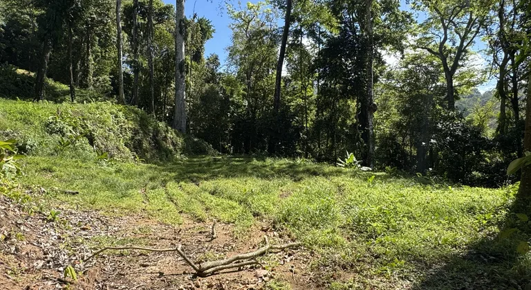 Two Ocean View Lots in Uvita – Easy Access and Large Building Sites, photo 9