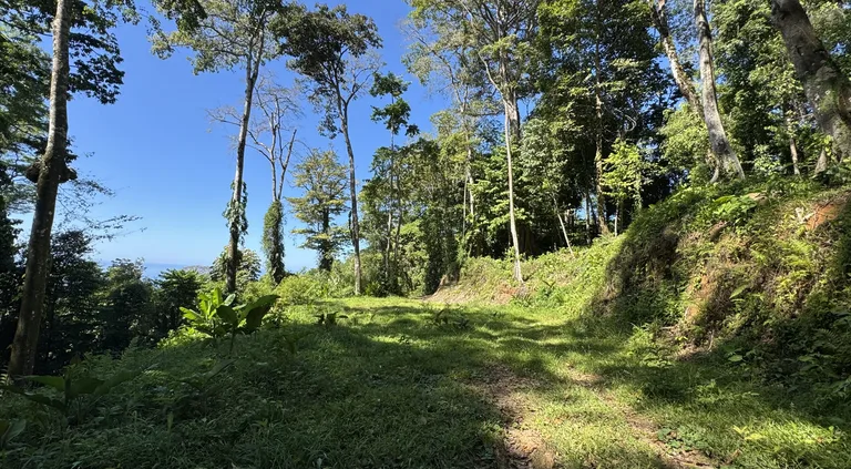 Two Ocean View Lots in Uvita – Easy Access and Large Building Sites, photo 10
