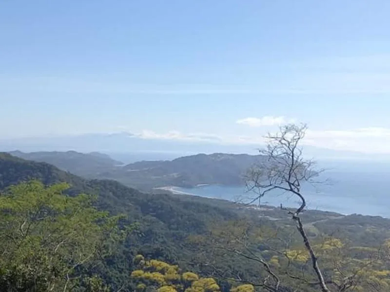 Land For Sale in Tambor