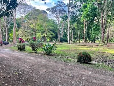 The Landings Riverside Lot 6 con piscina de agua salada, cascadas y terraza para yoga, photo 6