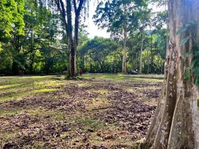 The Landings Riverside Lot 6 con piscina de agua salada, cascadas y terraza para yoga, photo 7
