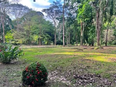 The Landings Riverside Lot 6 con piscina de agua salada, cascadas y terraza para yoga, photo 9