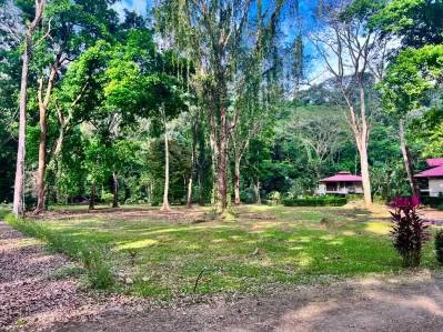The Landings Riverside Lot 6 con piscina de agua salada, cascadas y terraza para yoga, photo 10
